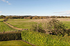 Oak House View